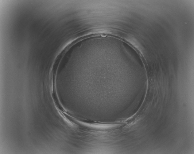 X0000072971127200607282315