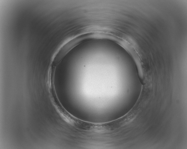 X0000072971128200607282315