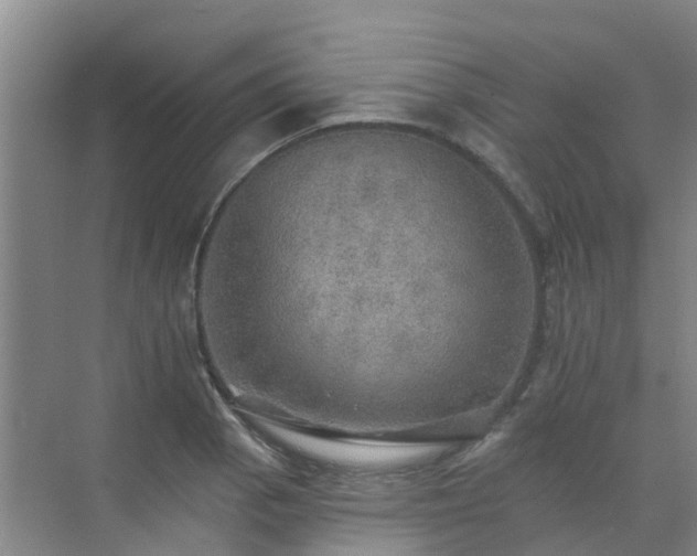 X0000072971129200607282315