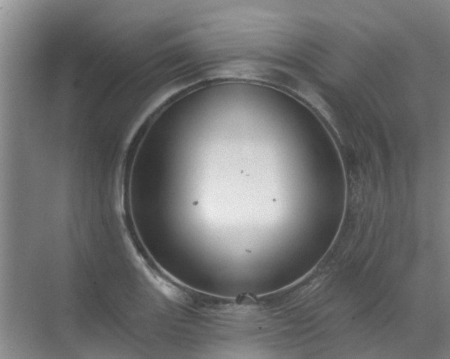 X0000072971131200607282315