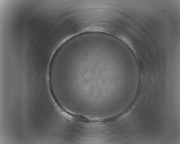 X0000072971133200607282315