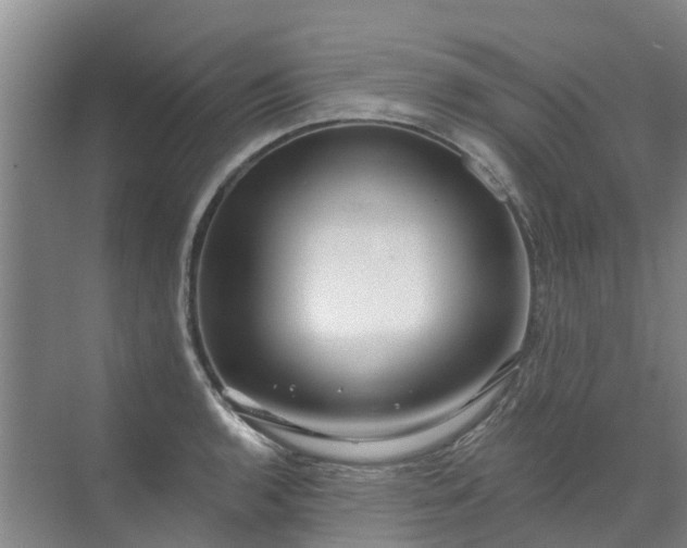 X0000072971136200607282315