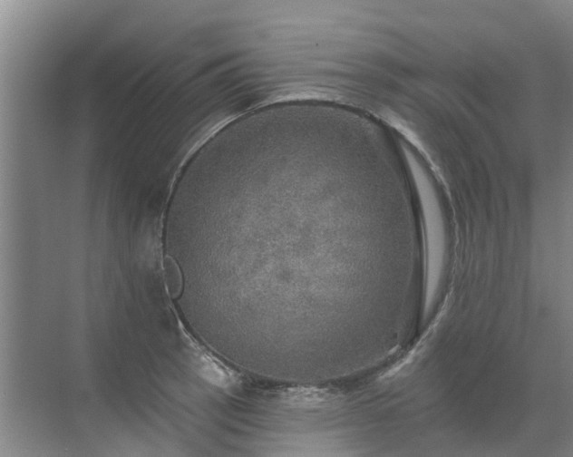 X0000072971137200607282315