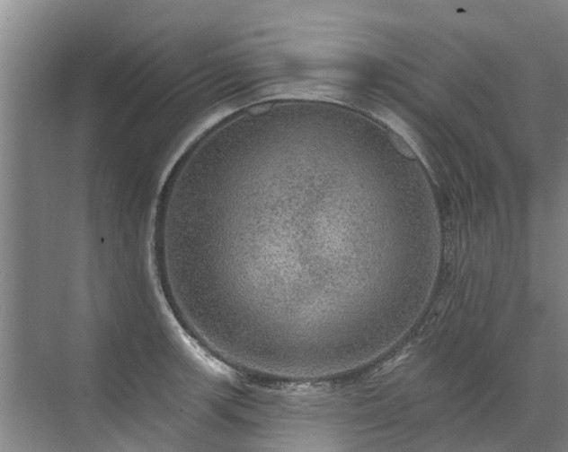 X0000072971139200607282315