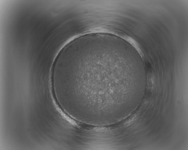 X0000072971142200607282315