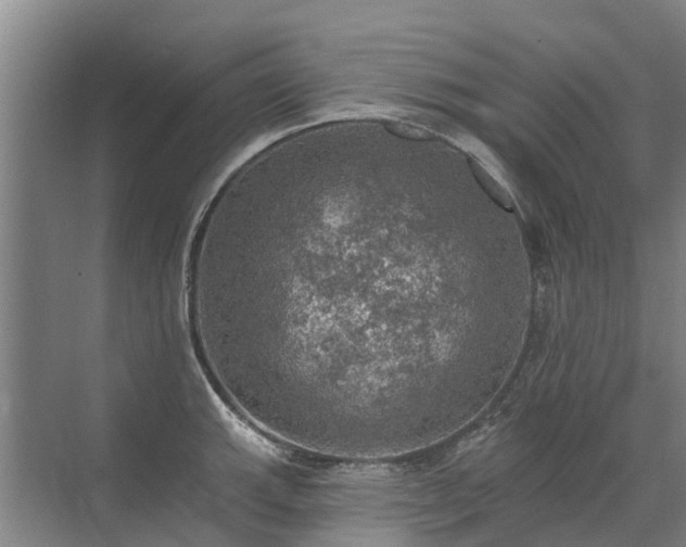 X0000072971143200607282315