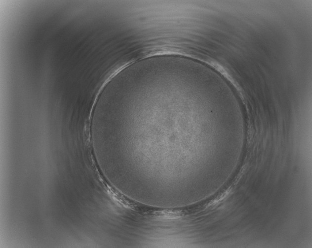 X0000072971145200607282315