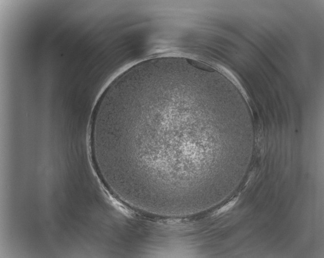 X0000072971149200607282315