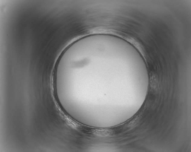 X0000072971150200607282315