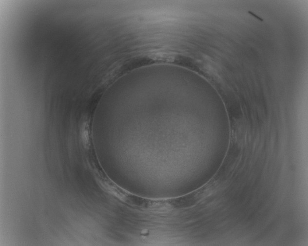 X0000072971154200607282314