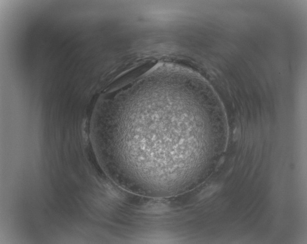 X0000072971156200607282314