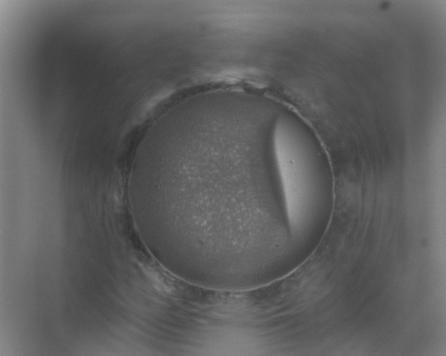 X0000072971158200607282314