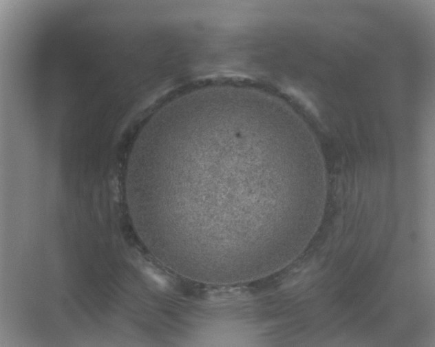 X0000072971159200607282314