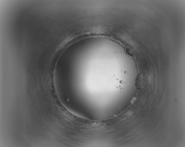 X0000072971160200607282314