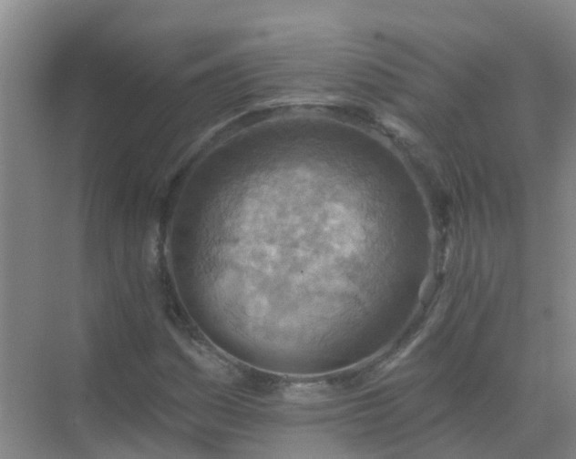 X0000072971161200607282314