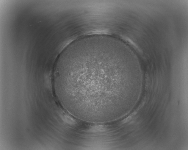 X0000072971162200607282314