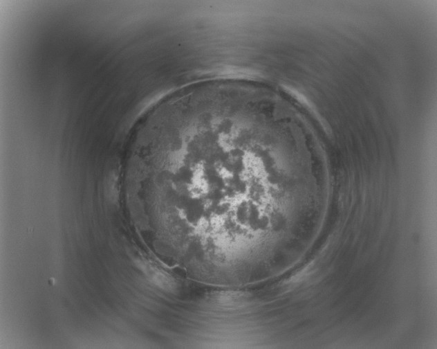 X0000072971163200607282314