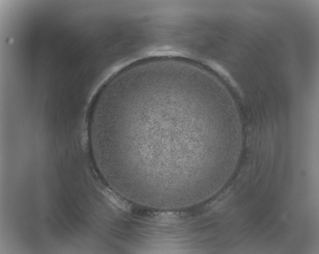 X0000072971167200607282314