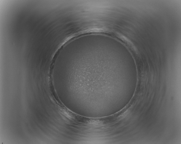 X0000072971170200607282314