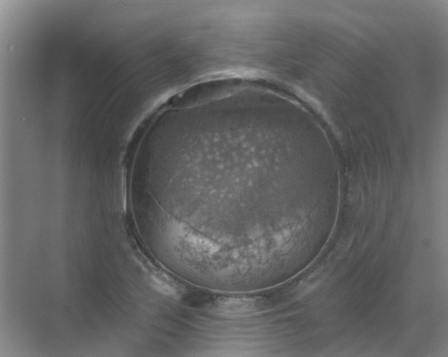 X0000072971171200607282314