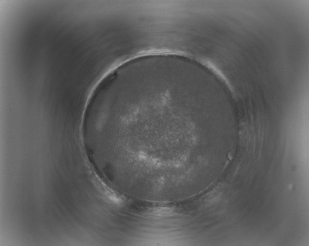 X0000072971173200607282314