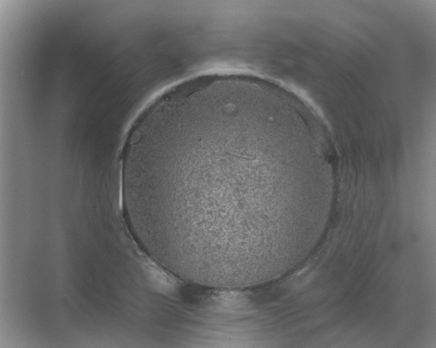 X0000072971175200607282314