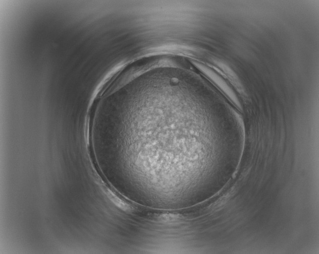 X0000072971180200607282314