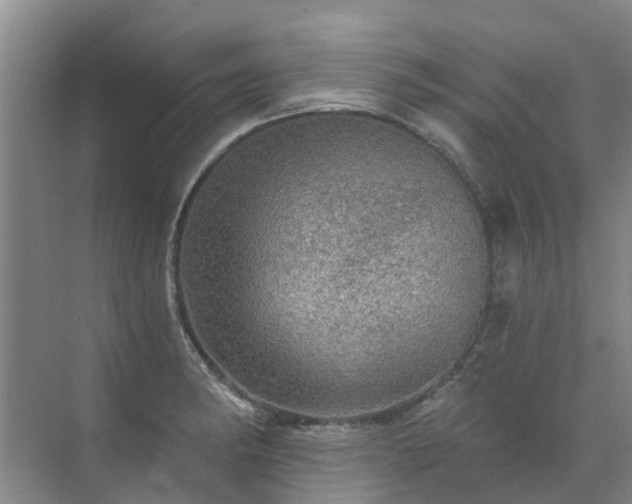 X0000072971182200607282314