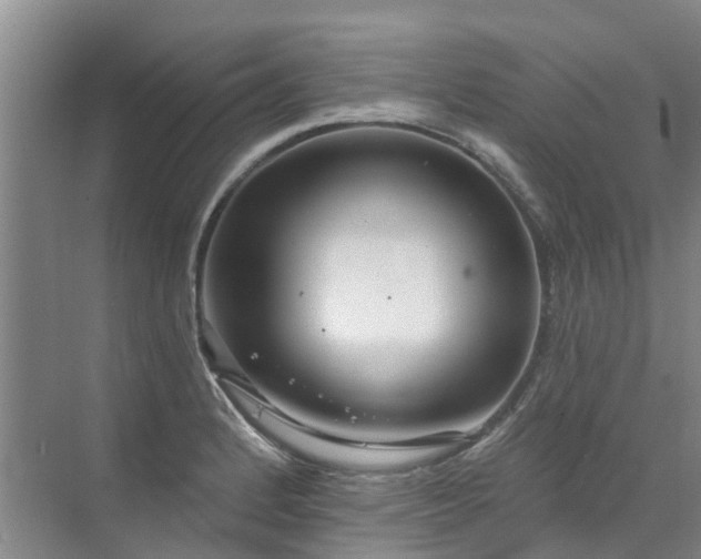 X0000072971184200607282314