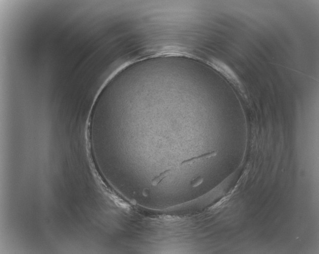 X0000072971190200607282314