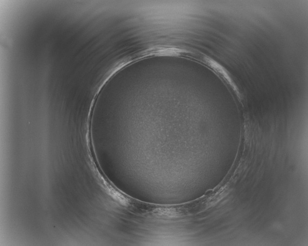 X0000072971194200607282314