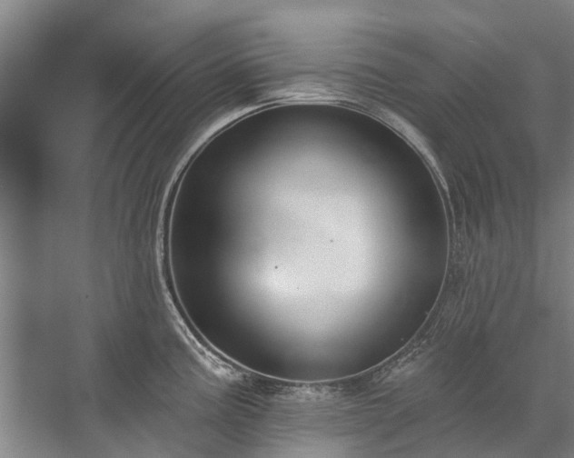 X0000072971195200607282314