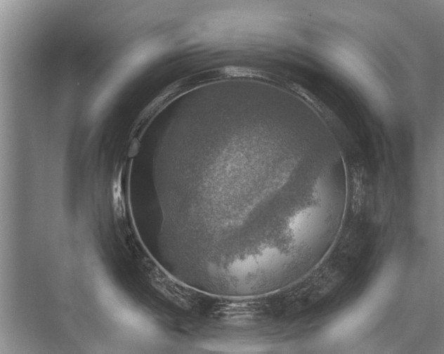 X0000072971198200607282314