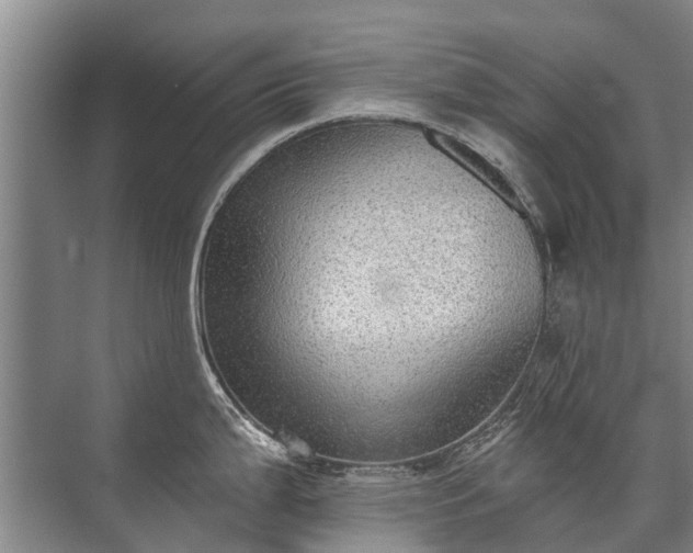 X0000072971199200607282314