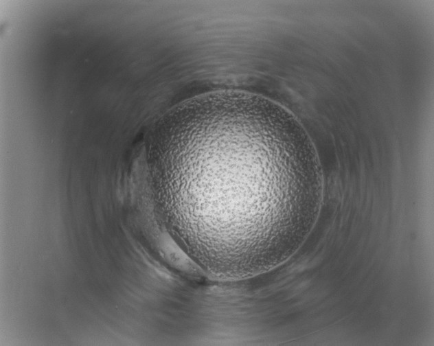 X0000072971202200607282313