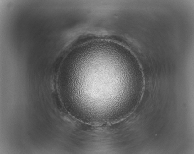 X0000072971205200607282313