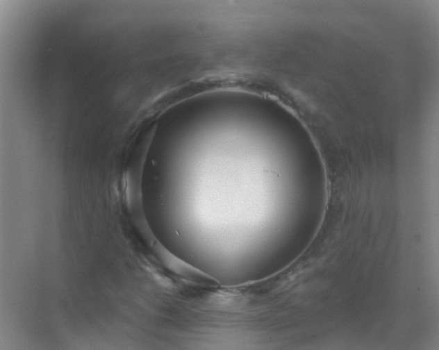 X0000072971206200607282313