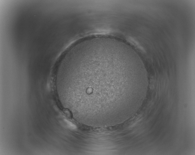 X0000072971208200607282313