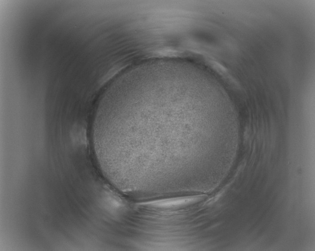 X0000072971209200607282313