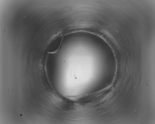 X0000072971210200607282313