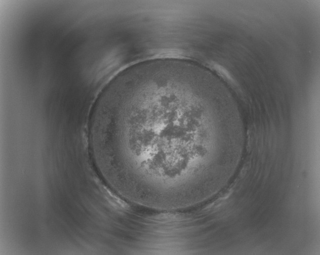 X0000072971212200607282313