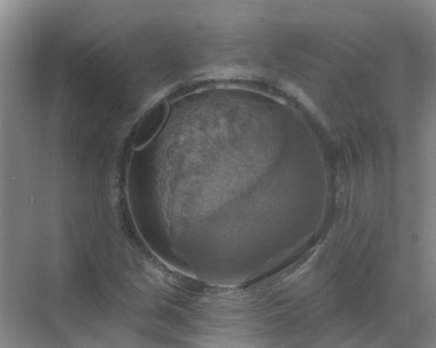 X0000072971213200607282313