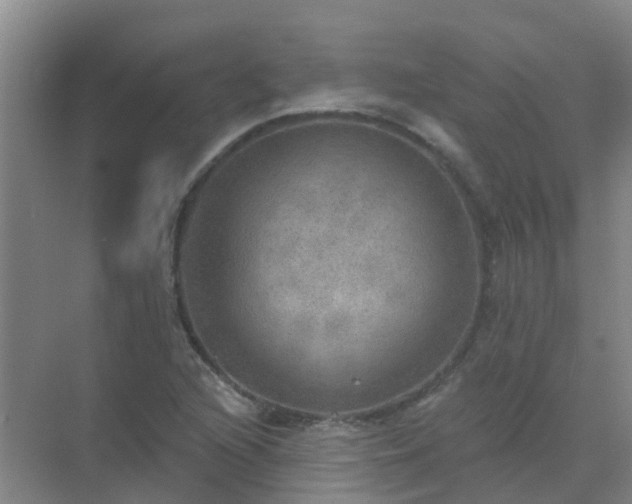 X0000072971216200607282313