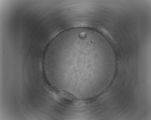 X0000072971217200607282313