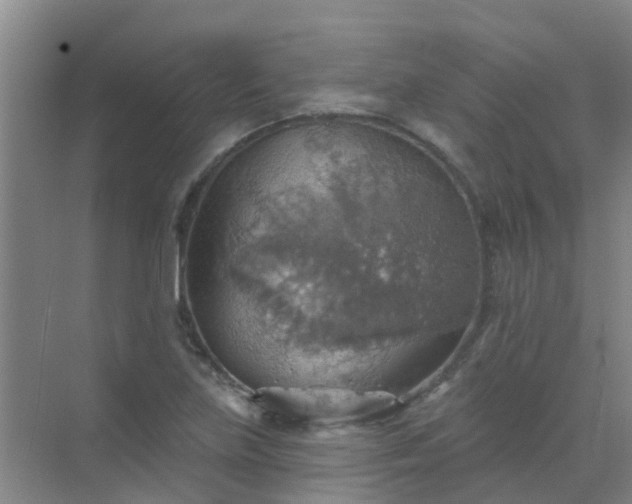 X0000072971219200607282313