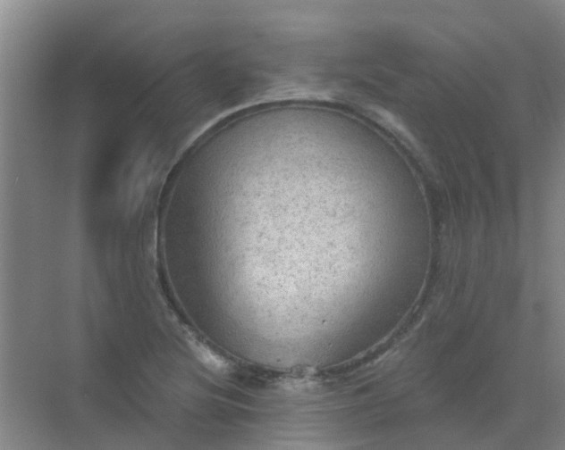 X0000072971220200607282313