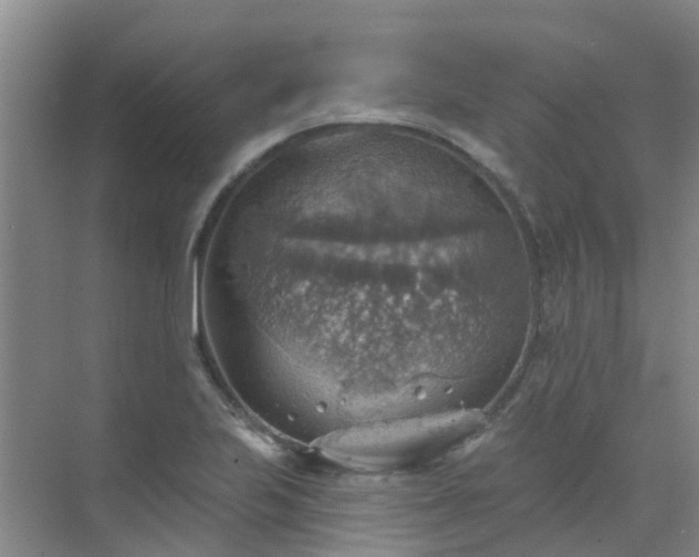 X0000072971223200607282313