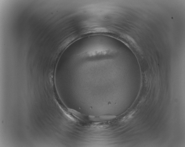 X0000072971225200607282313