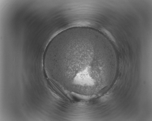 X0000072971226200607282313