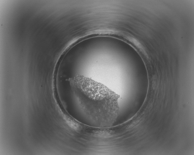 X0000072971229200607282313